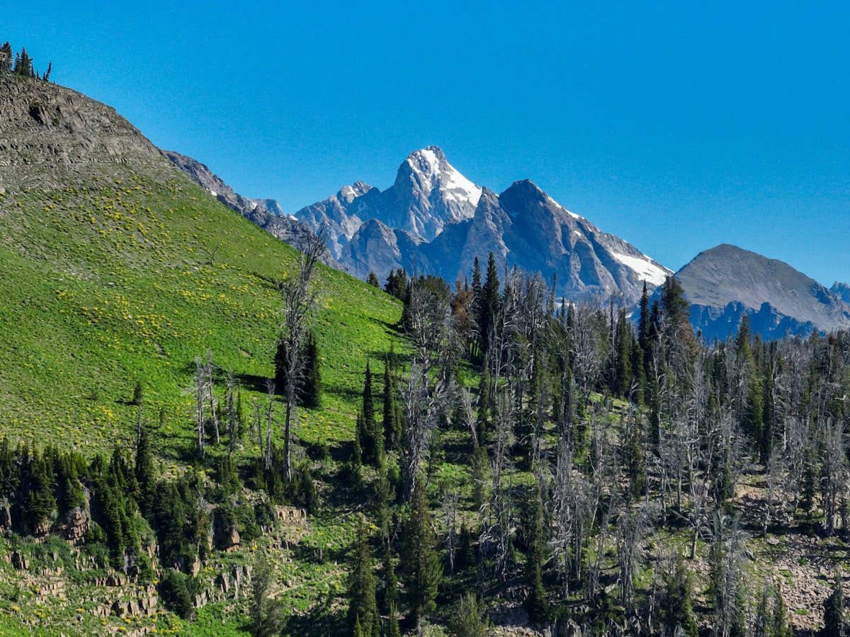 Grand Teton and Headwall