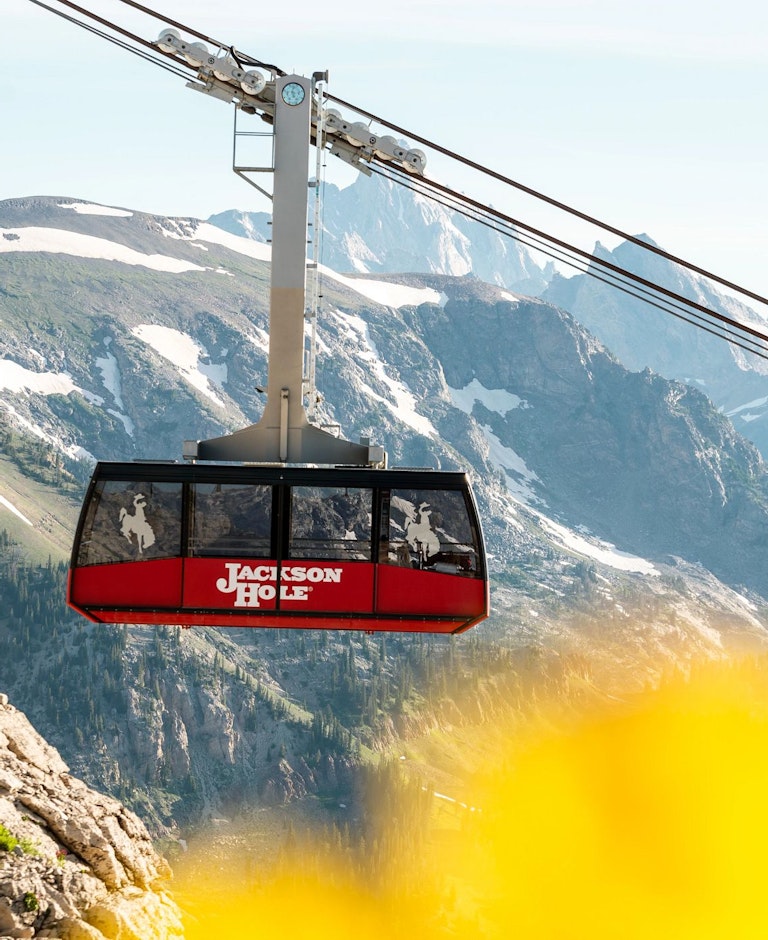 The Aerial Tram flying through the air