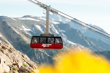 The Aerial Tram flying through the air