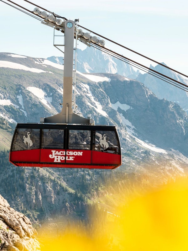 The Aerial Tram flying through the air