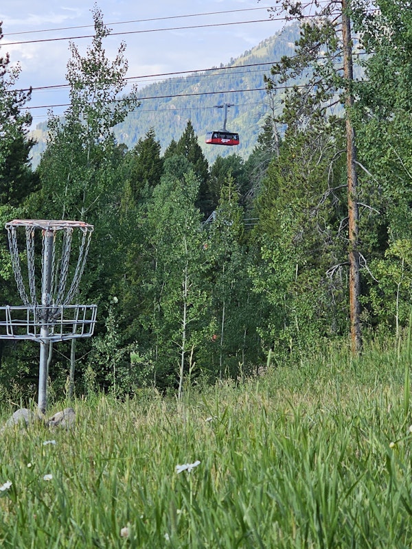 Disc Golf Hole 10