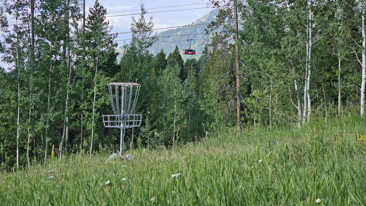 Disc Golf Hole 10