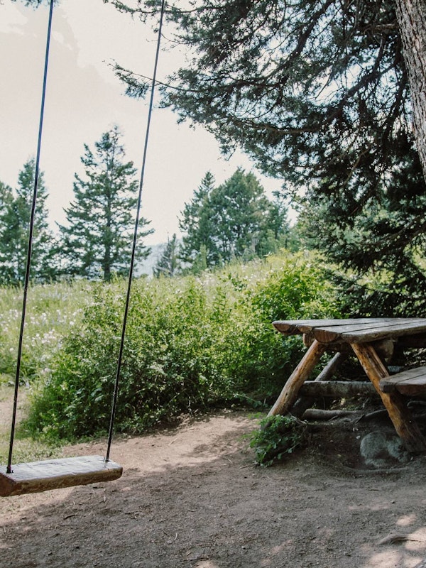 The swing and picnic bench on the Wildflower Trail