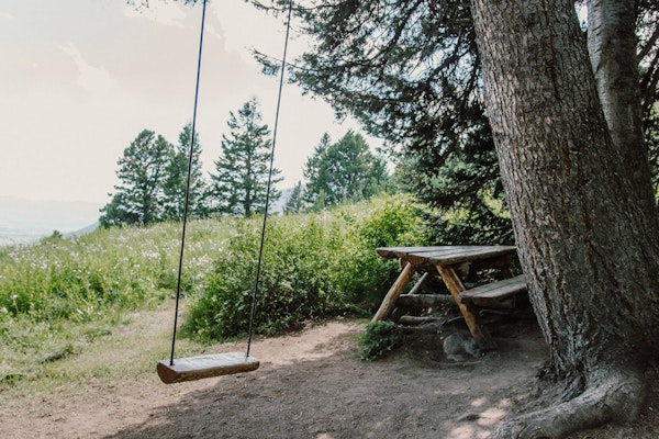 The swing and picnic bench on the Wildflower Trail