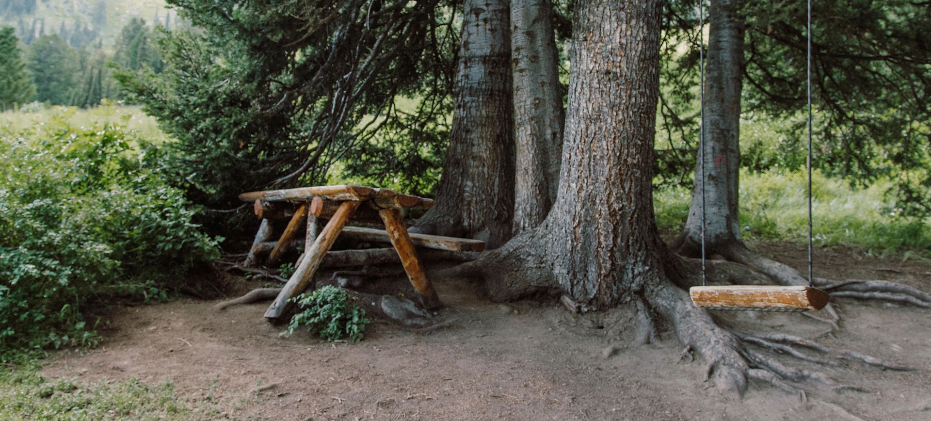 A picnic bench and swing along the Wildflower Trail