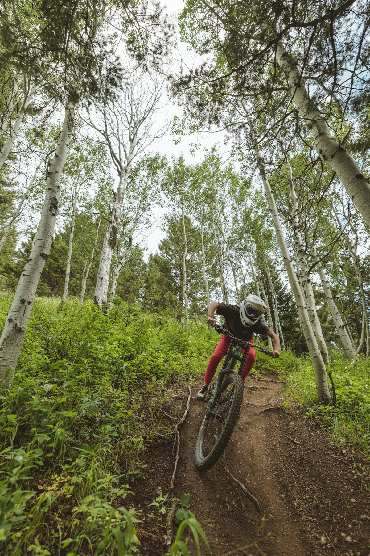 A Ride Through Dirty Hairy