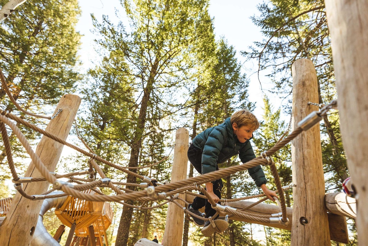 A boy playing in the Wild Woods Playground