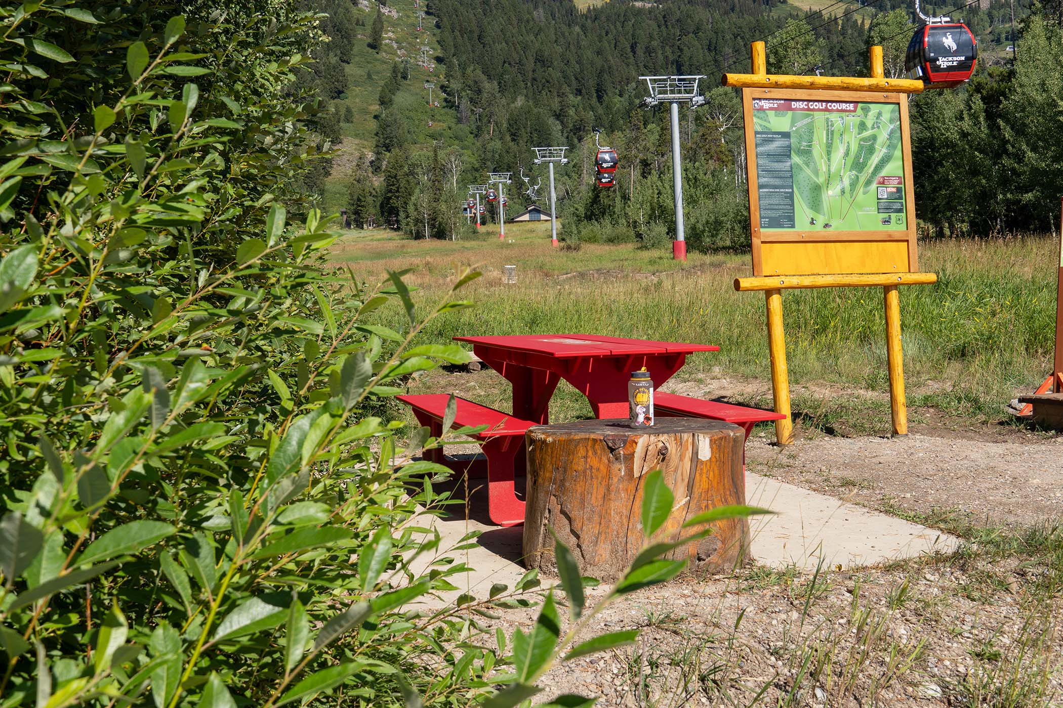 A picnic bench by the Disc Golf Course sign