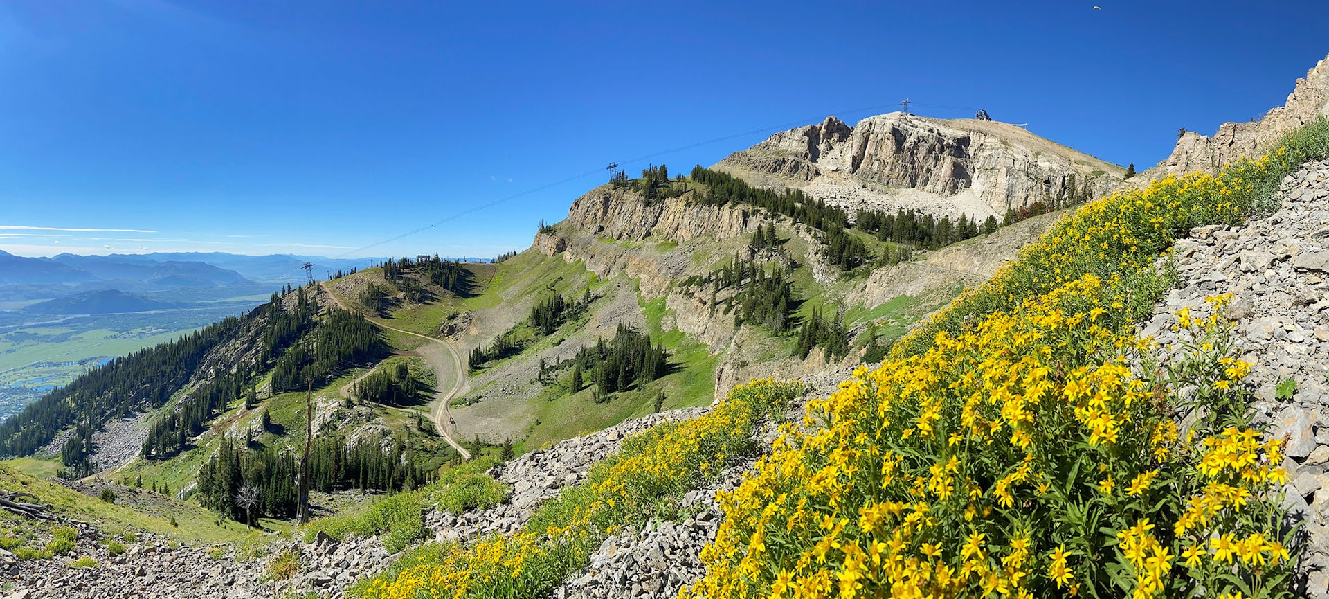 The Cirque Trail with wildflowers in the foreground and Corbet's Couloir in the background