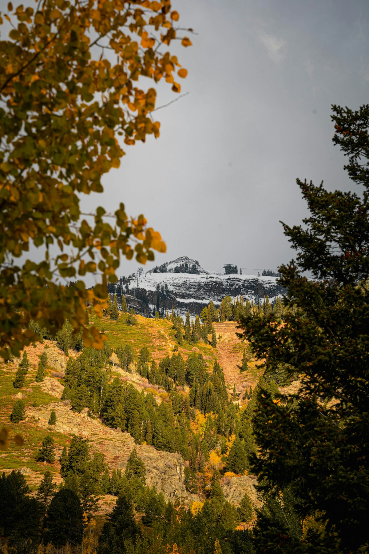 oct snow