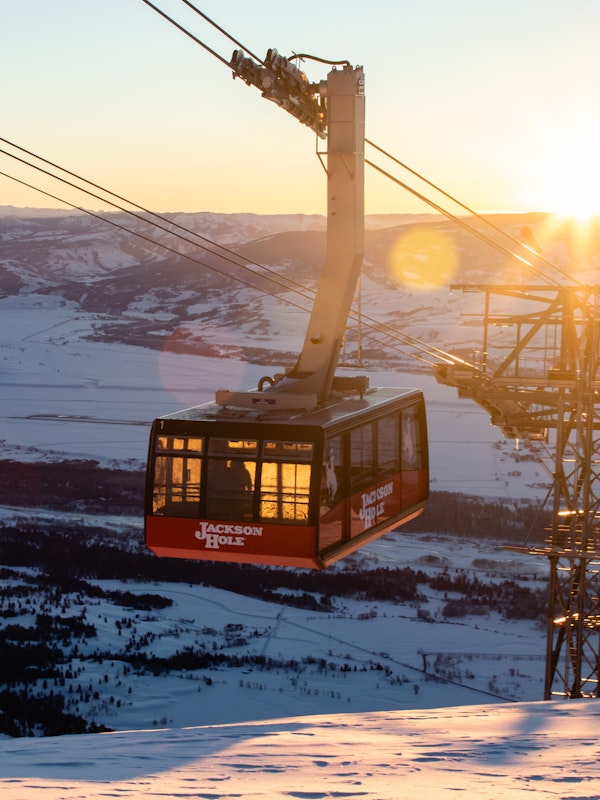 Tram