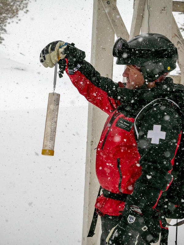 Measuring snowfall at our study plots