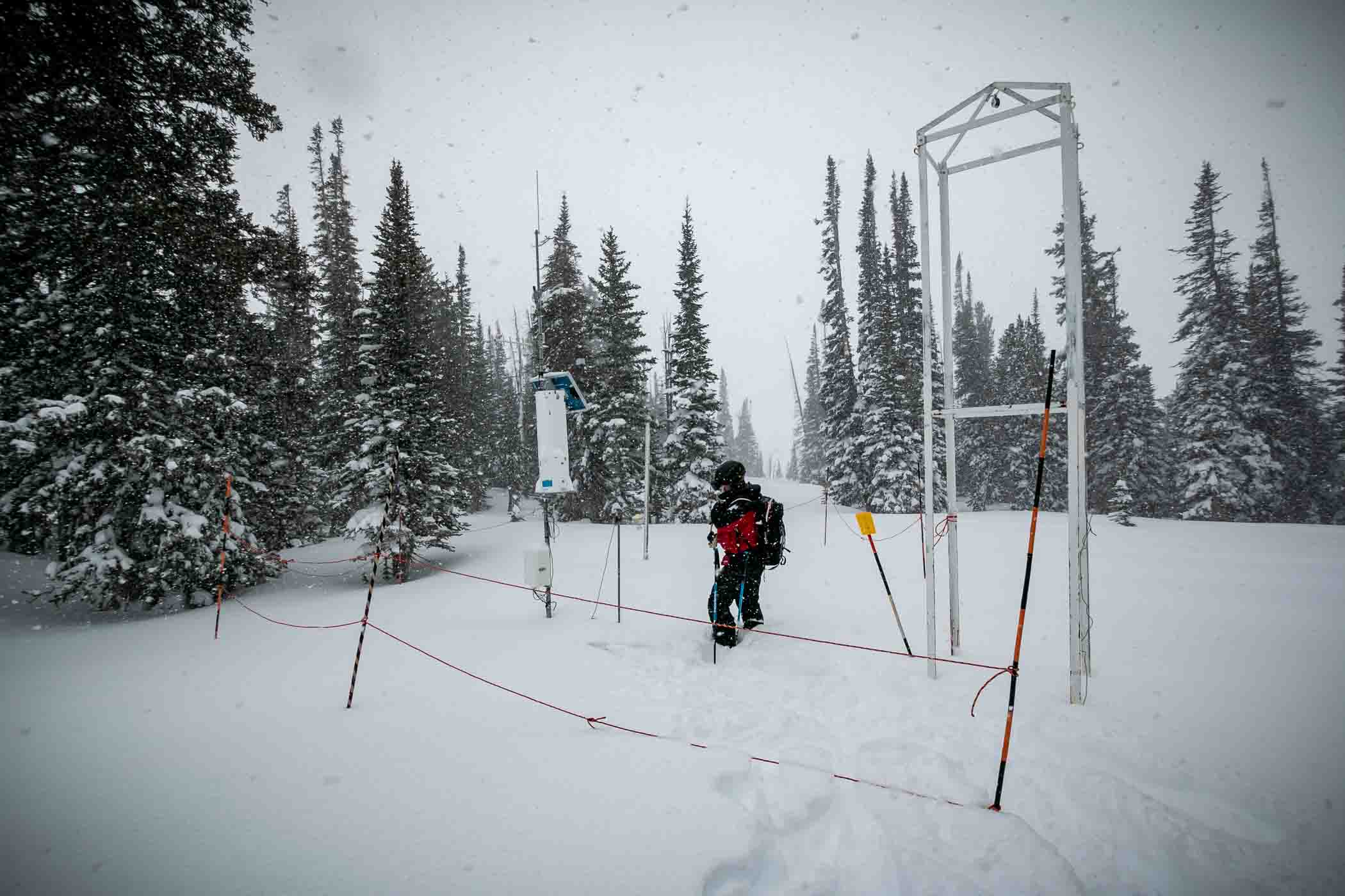 Approaching the Rendezvous Bowl study plot, located just outside the southern gates at the bottom of the bowl.