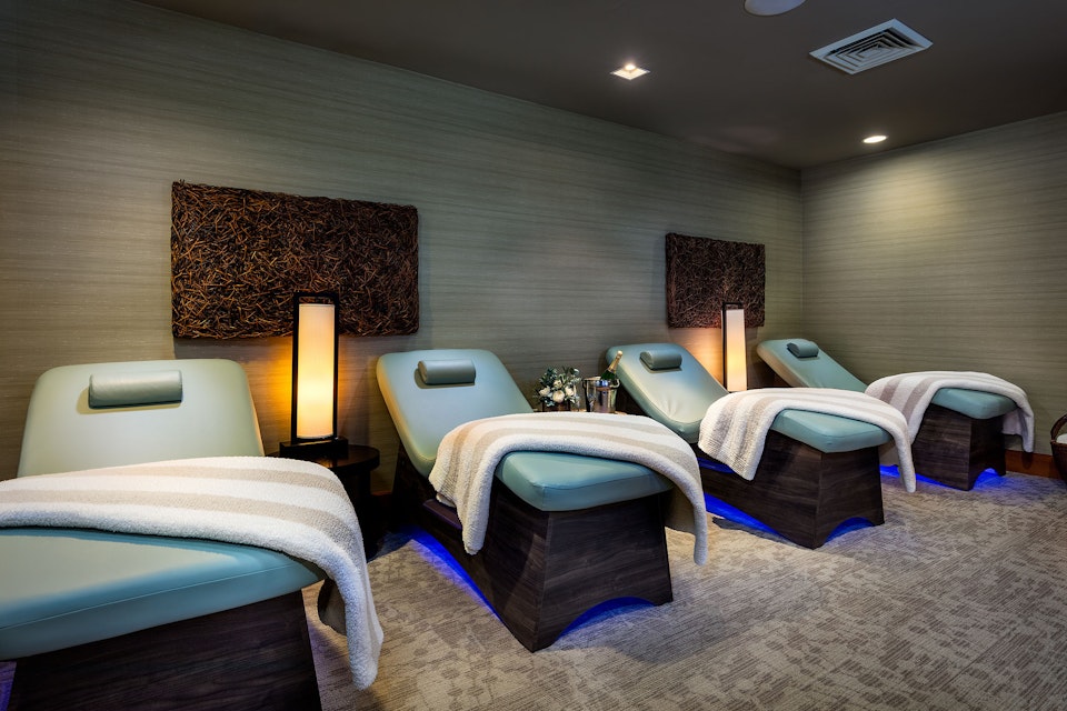 SpaTerre Tranquility Lounge Massage Chairs