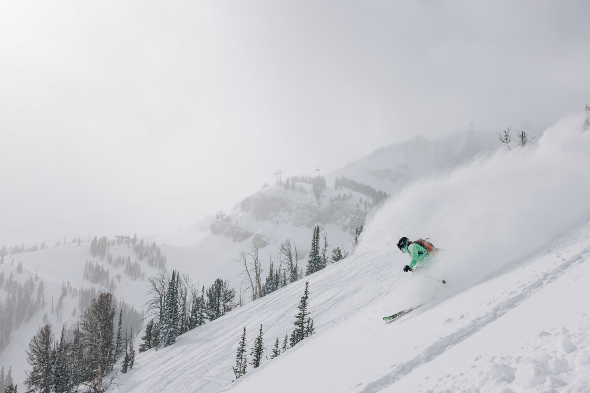 Griff Post | P: Sofia DeWolfe