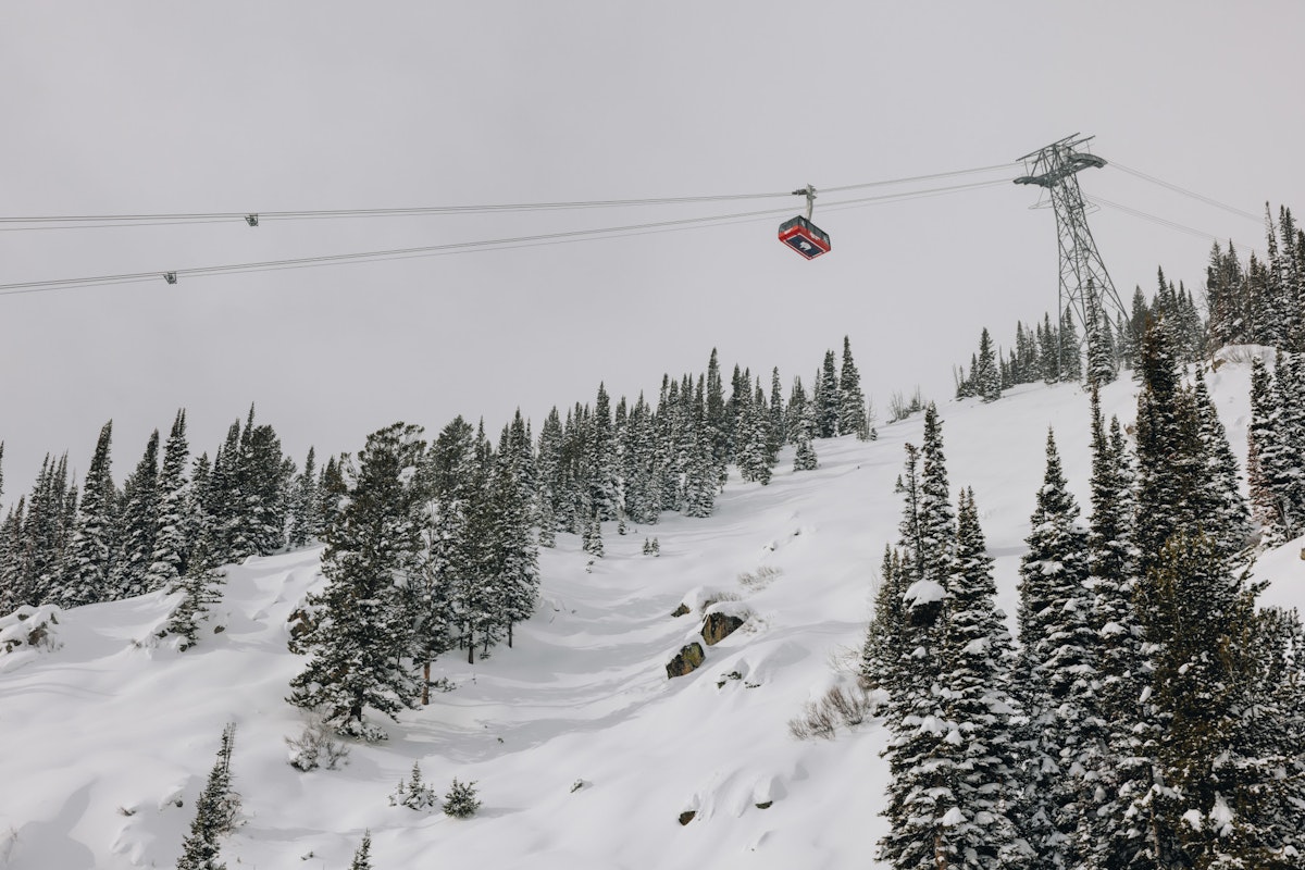 Big Red soars above untouched powder | P: Sofia DeWolfe