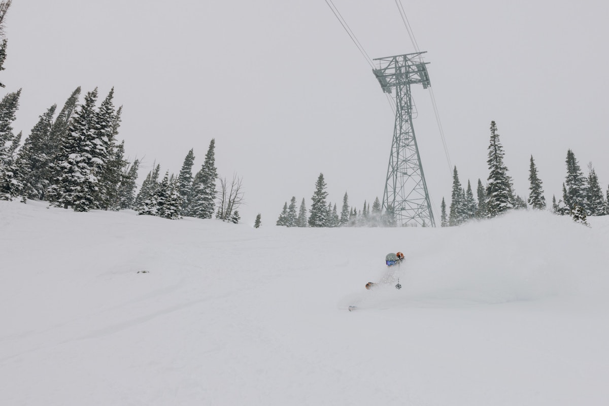 Mitchy Dunne | P: Sofia DeWolfe
