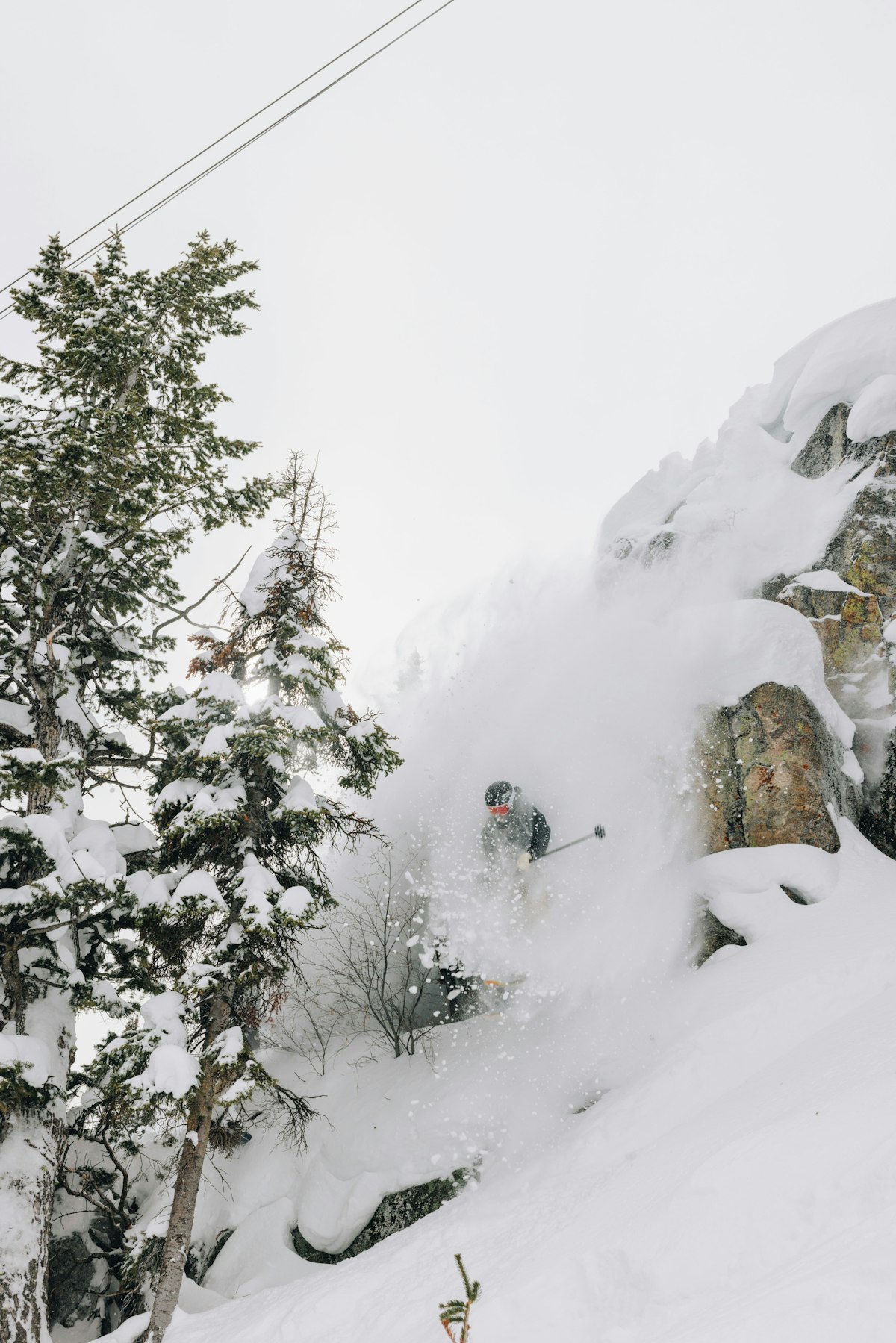 Griff Dunne | P: Sofia DeWolfe