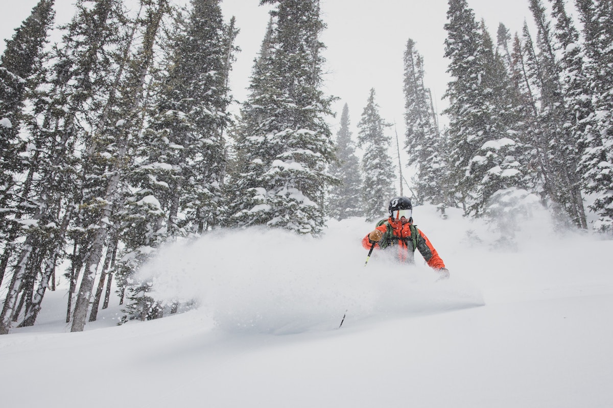 Veronica Paulsen | P: Amy Jimmerson