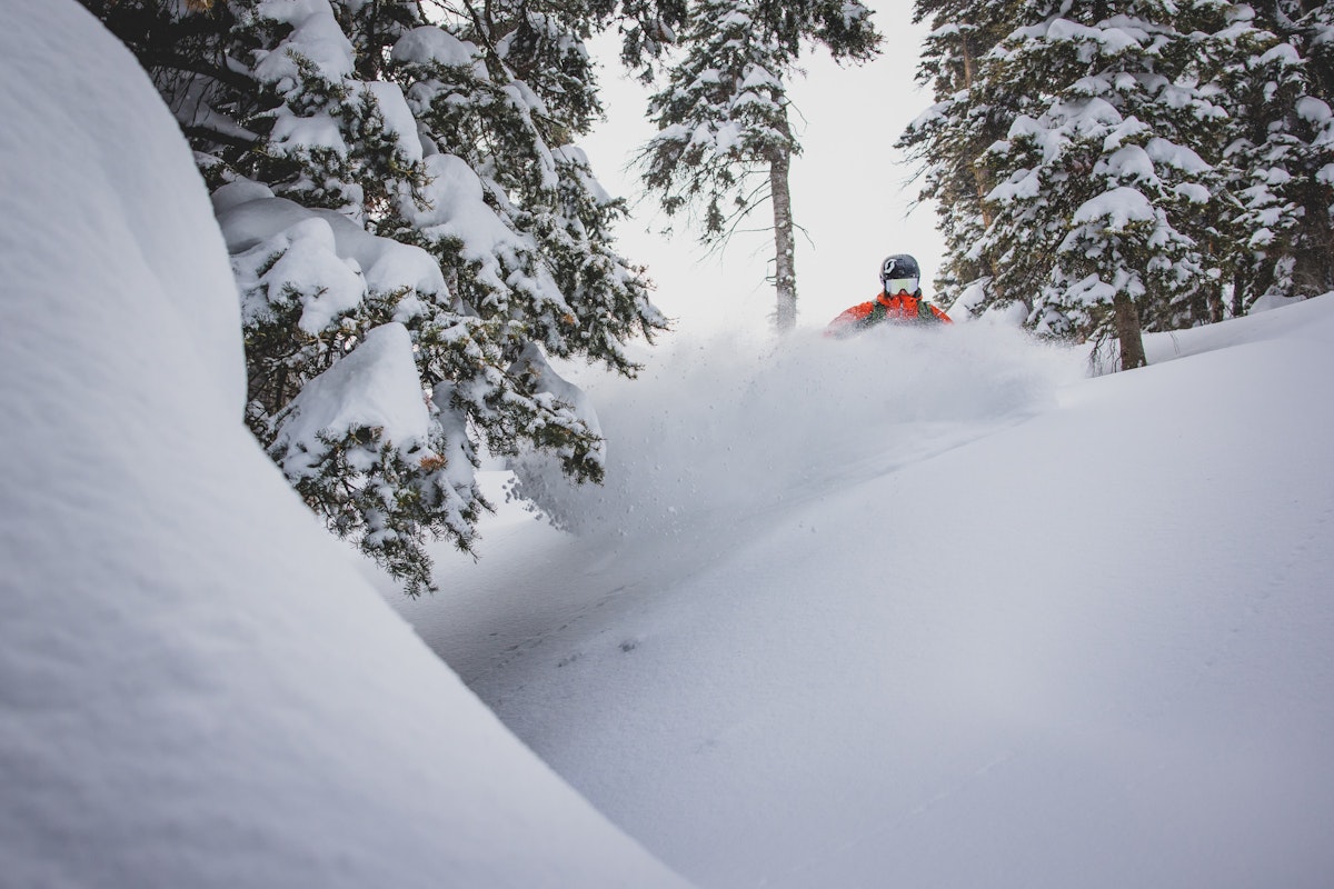 Veronica Paulsen | P: Amy Jimmerson