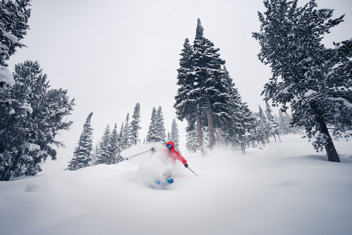 Tucker Carr | p: Taylor Glenn