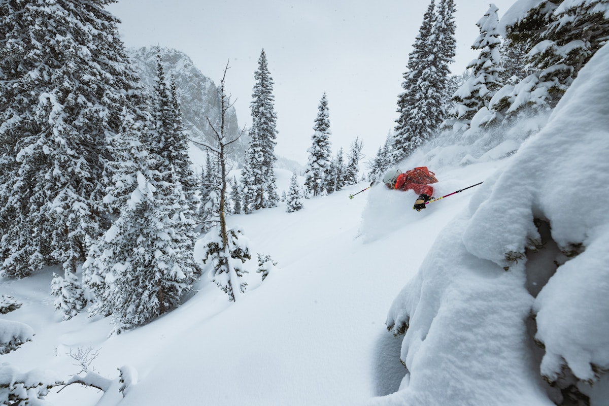 Madison Rose Ostergren | p: Stephen Shelesky