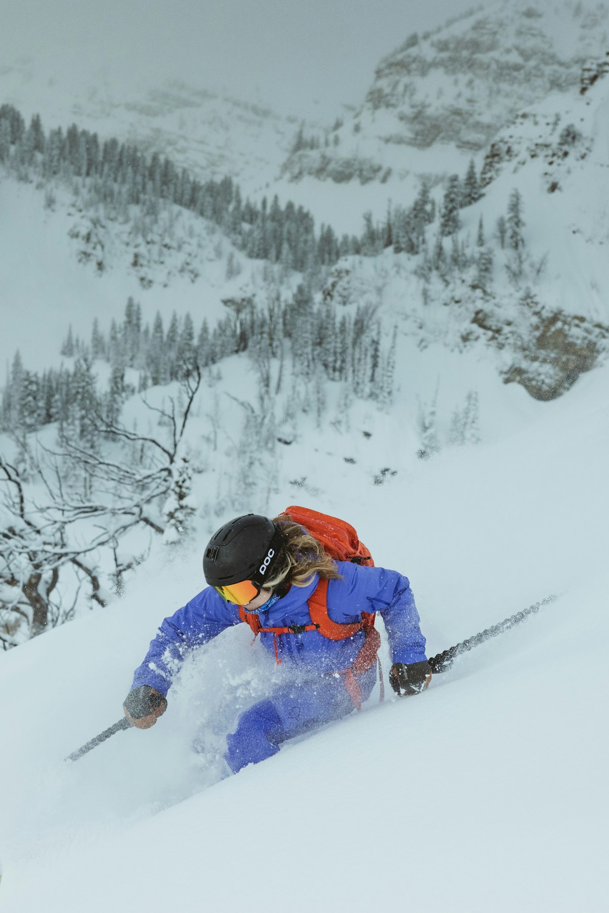 Sophia DeWolfe | p: Stephen Shelesky