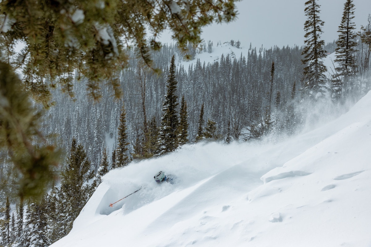 Skier: Max Martin | p: Stephen Shelesky