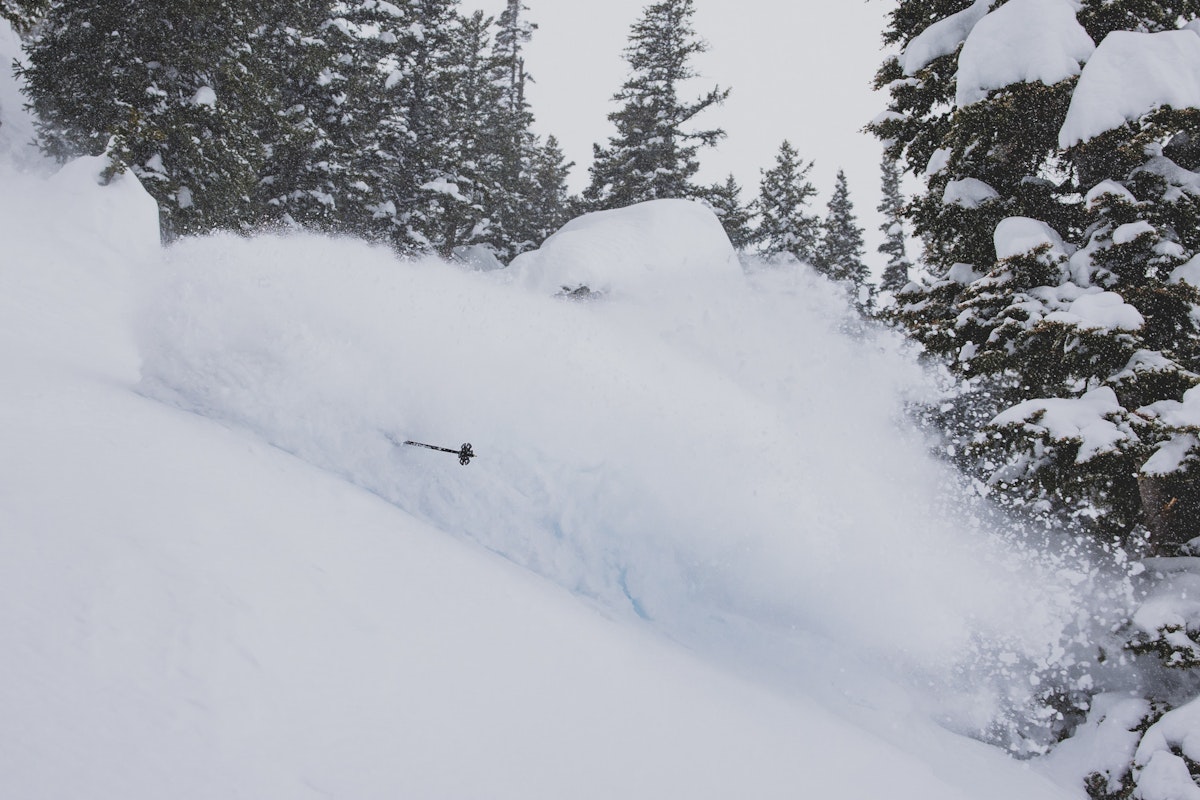 Skier: Sofia DeWolfe | p: Amy Jimmerson