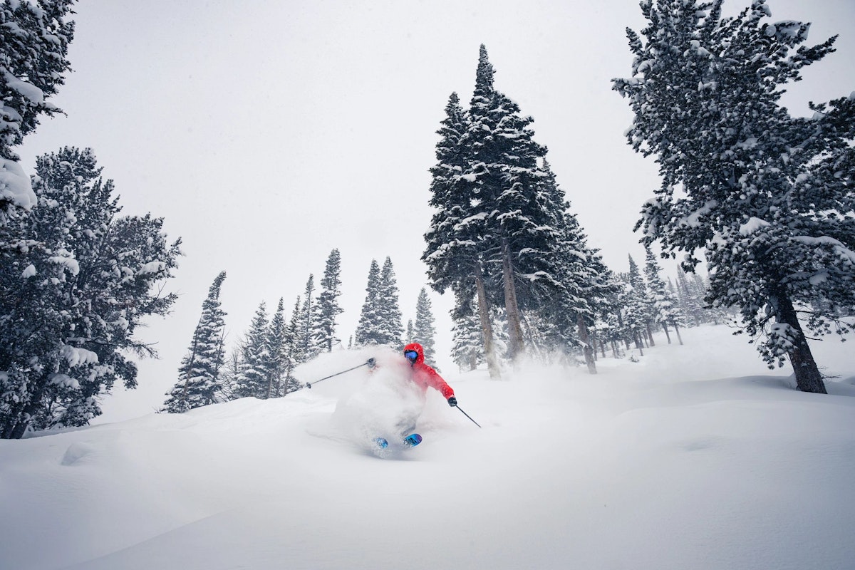 skiing in powder