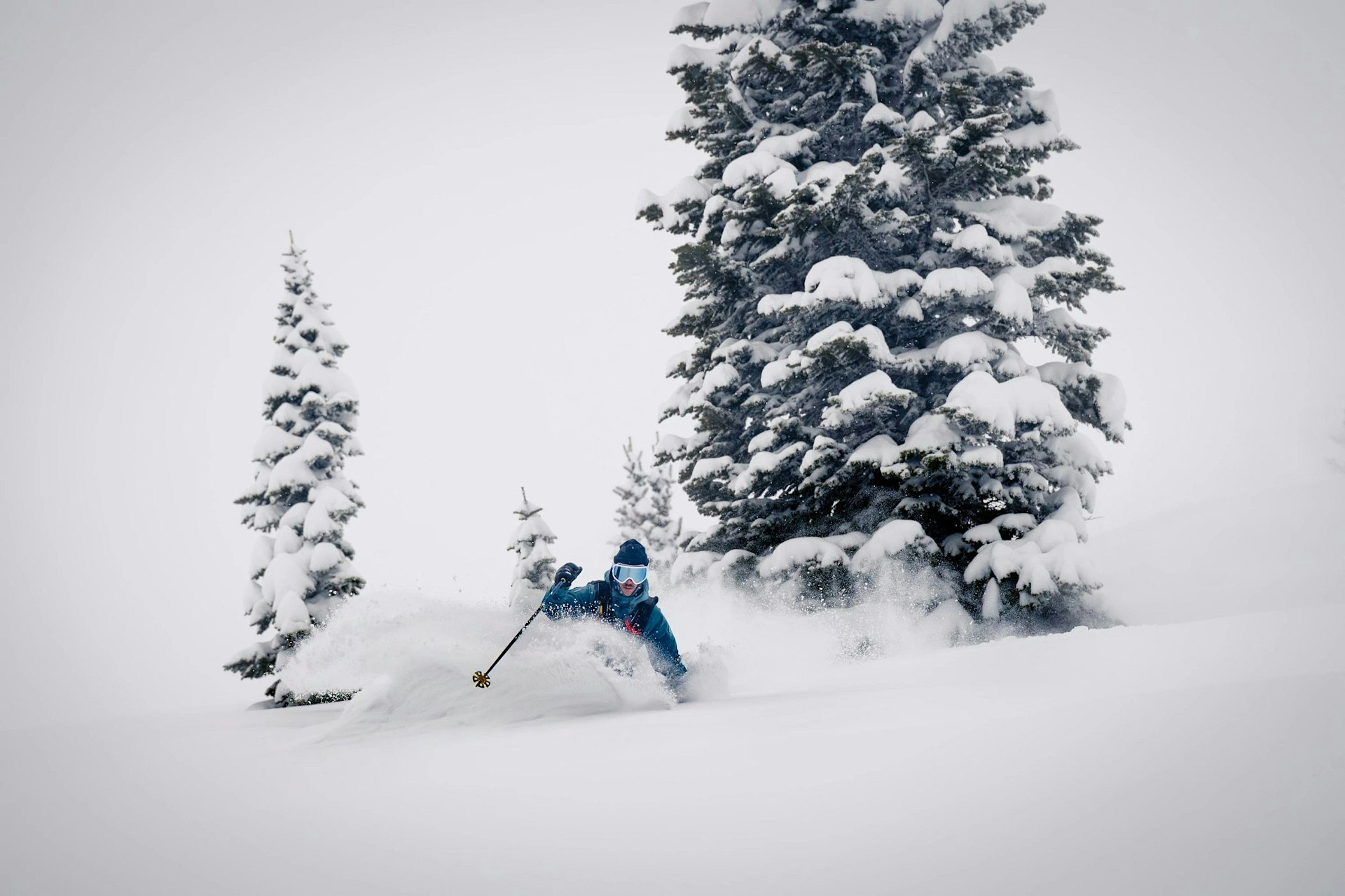 skiing in powder