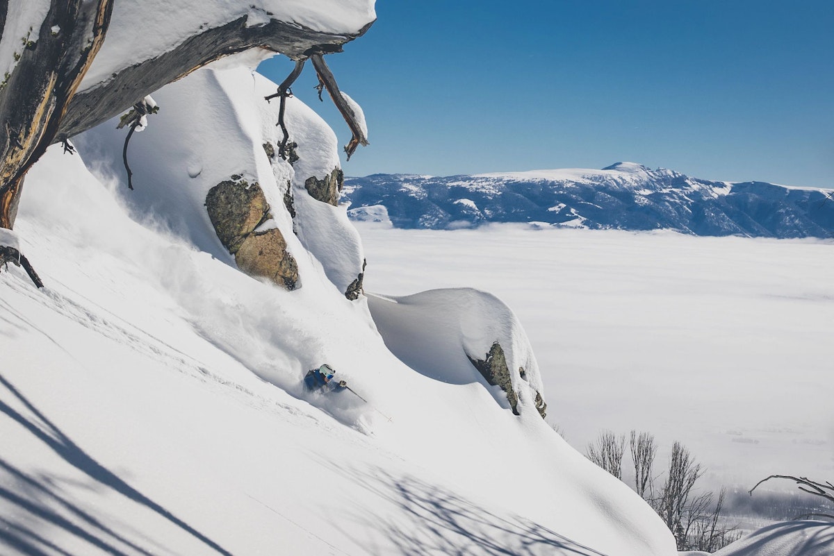 skiing in powder