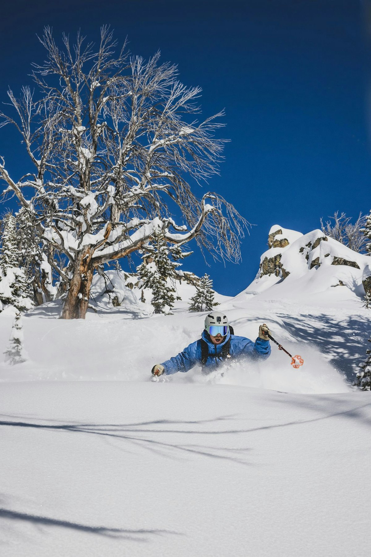 skiing in powder