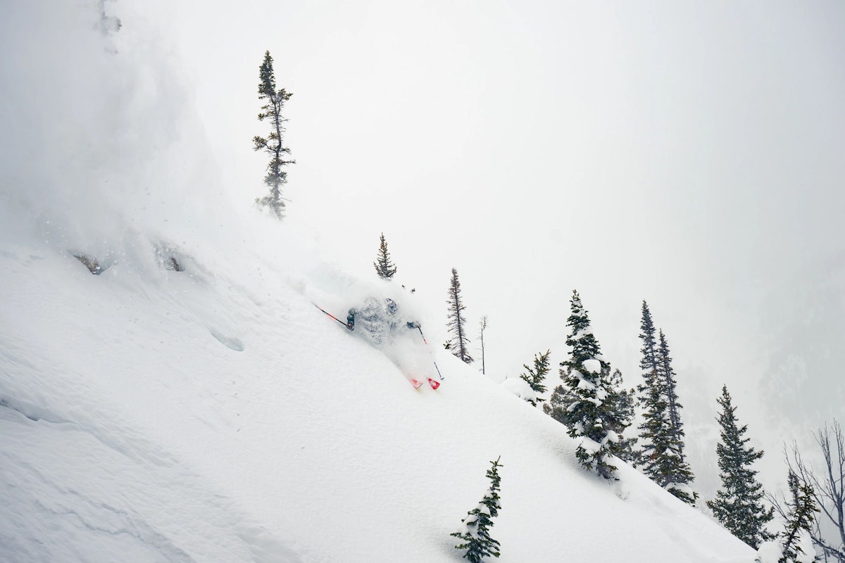 skiing in powder