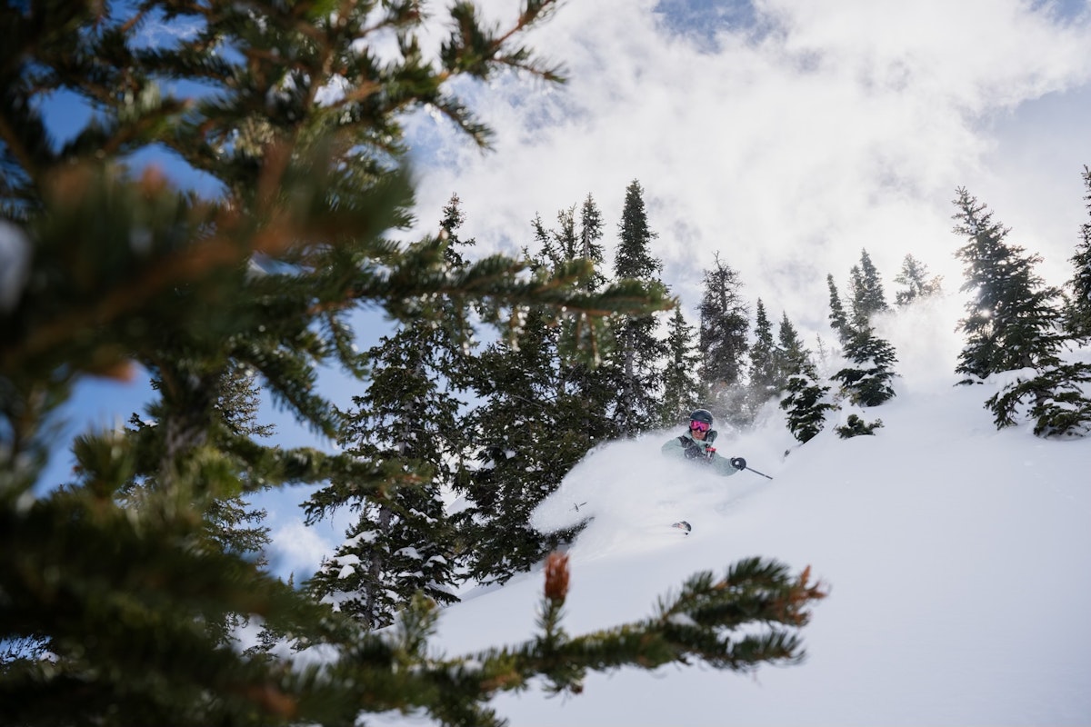 Andrew Heedy | p: Taylor Glenn