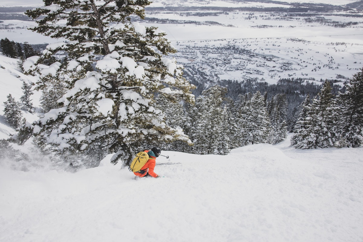 Olivia Jenkins | p: Amy Jimmerson
