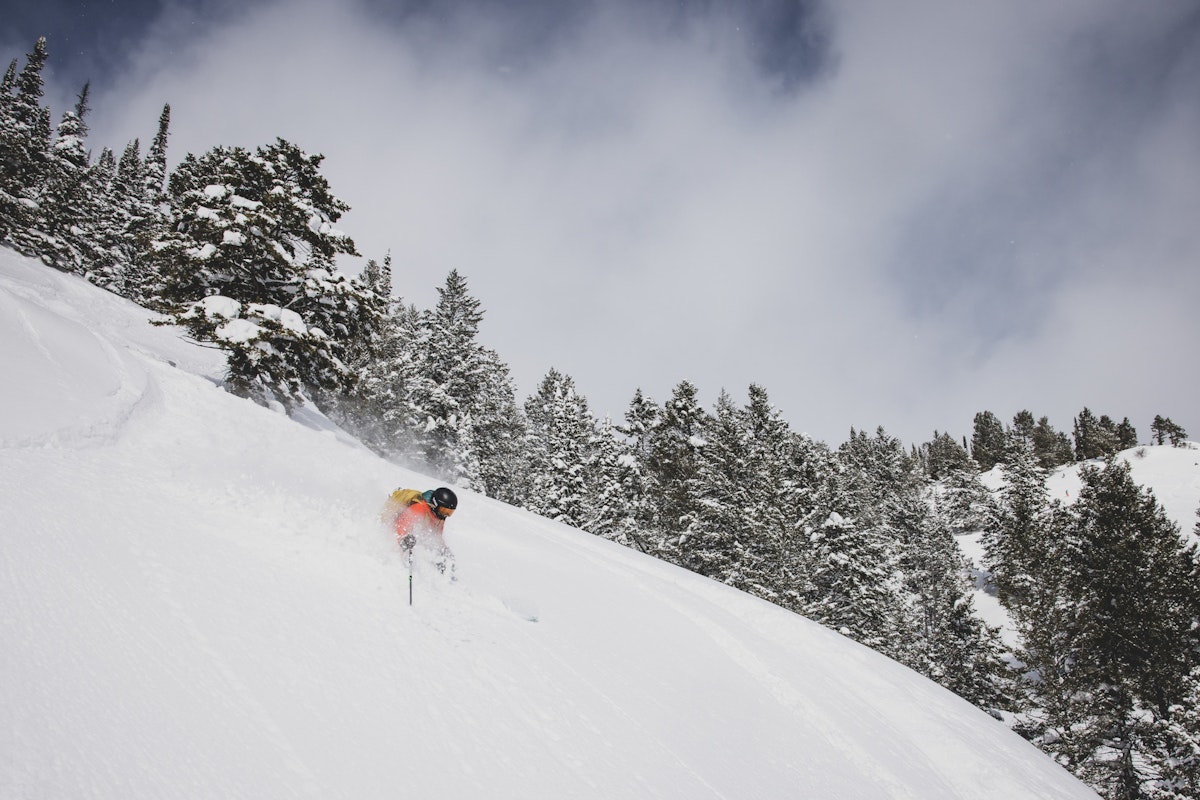 Olivia Jenkins | p: Amy Jimmerson