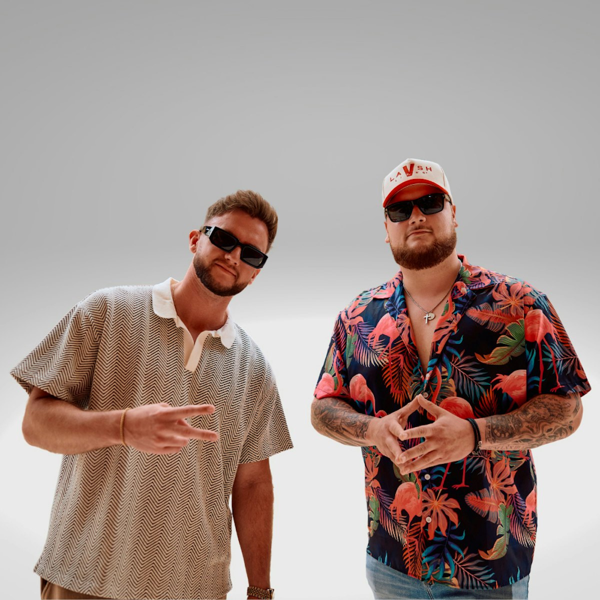 members of VAVO