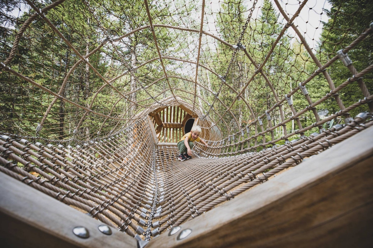 kid playing in Wild Woods Playground