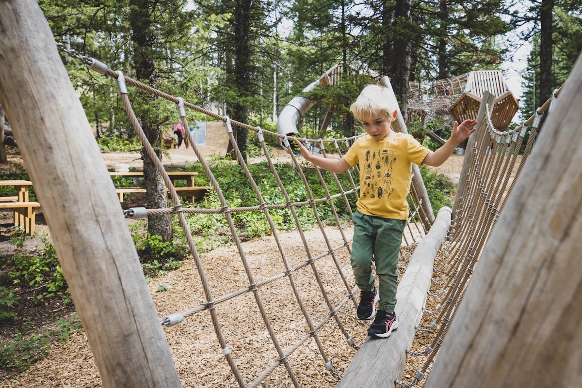 kid playing in Wild Woods Playground