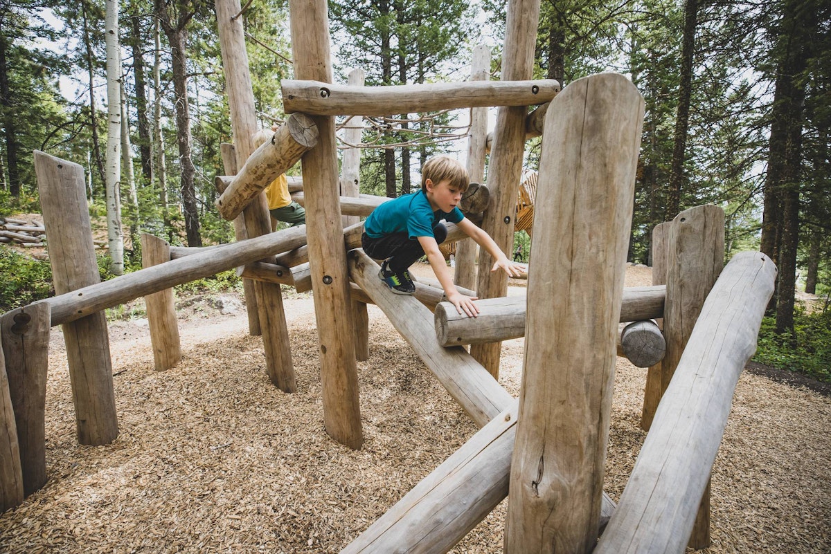 kid playing in Wild Woods Playground
