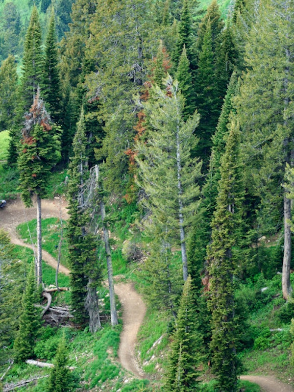 Mountain Bike Trail
