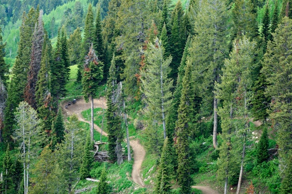 Mountain Bike Trail
