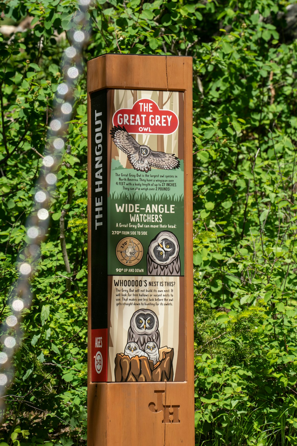 Wild Woods