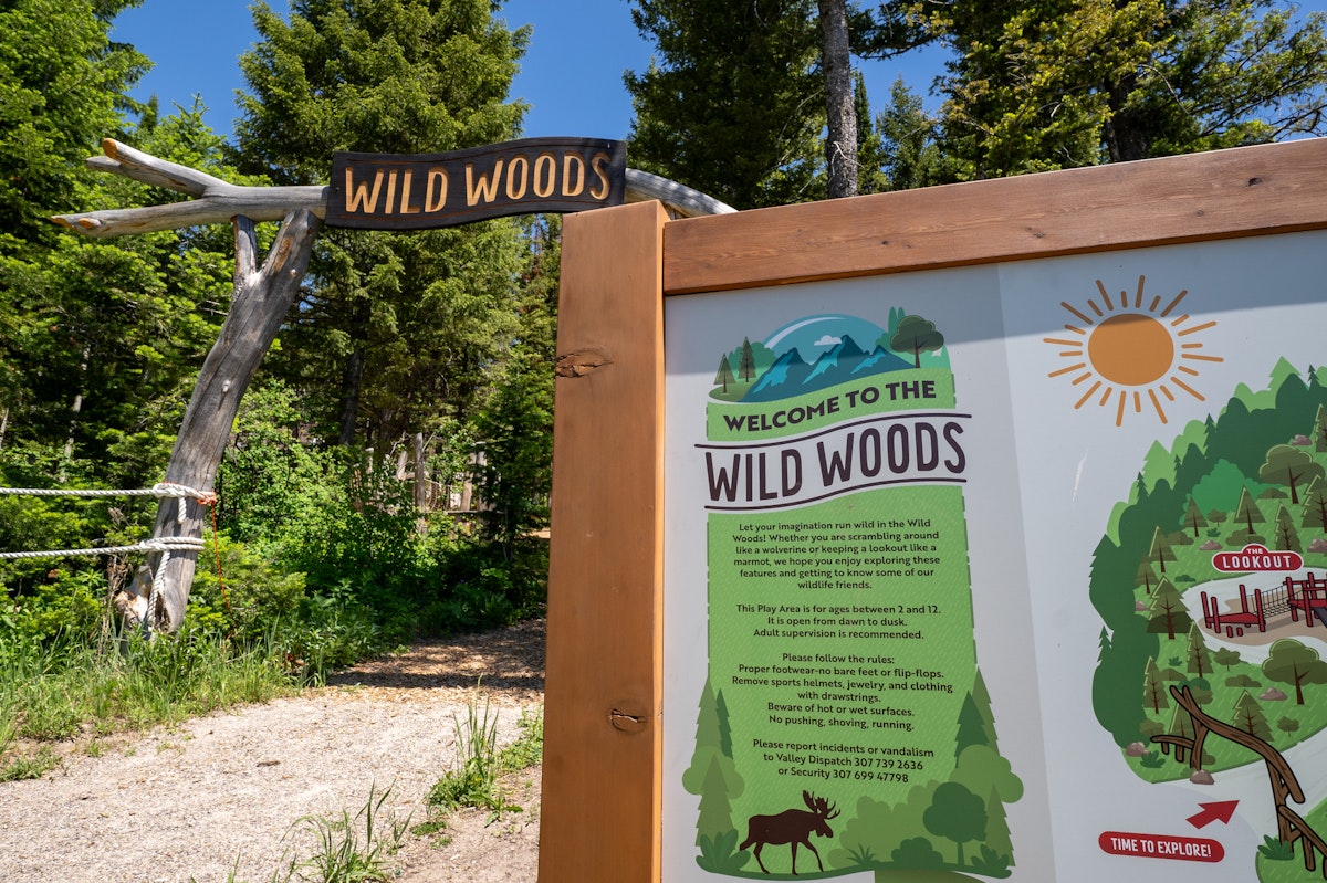 Wild Woods