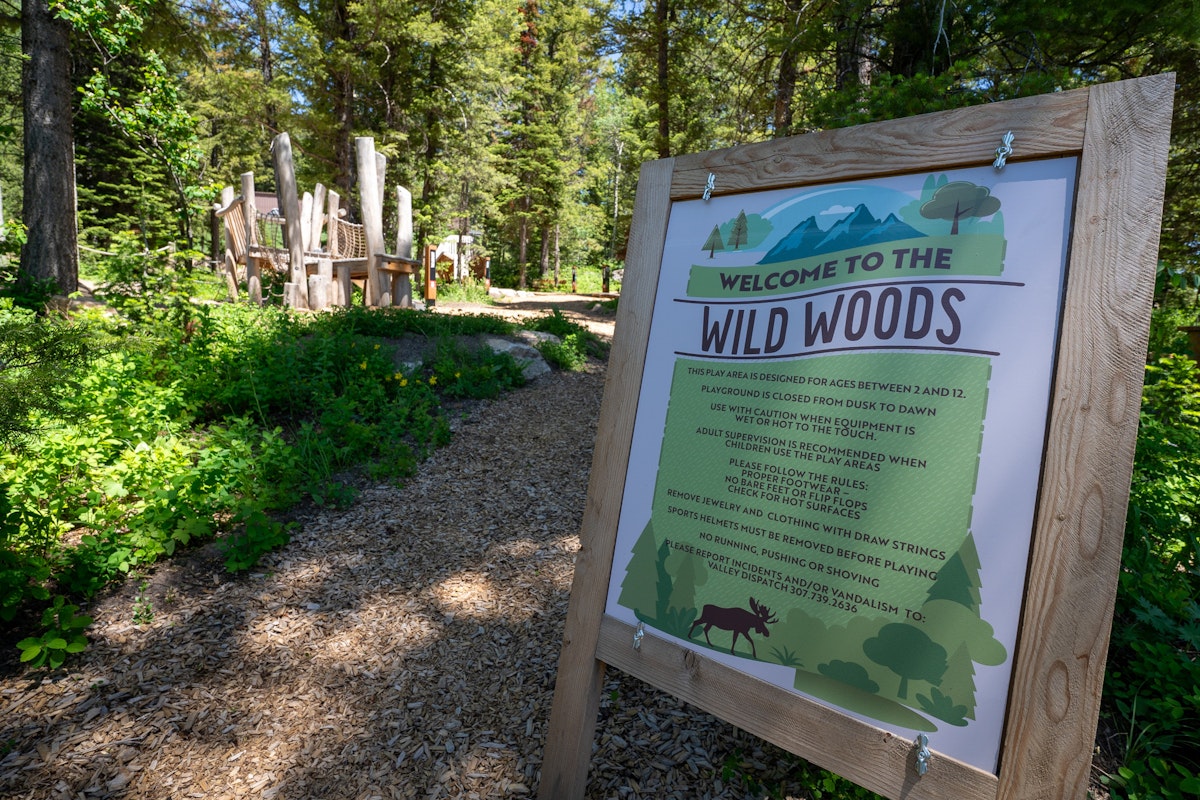 Wild Woods