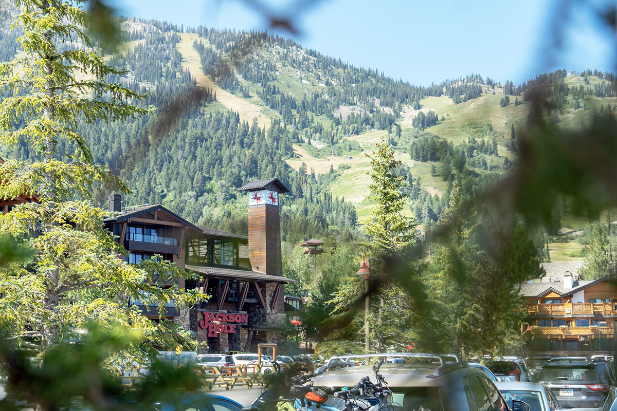 View of the mountain in summer