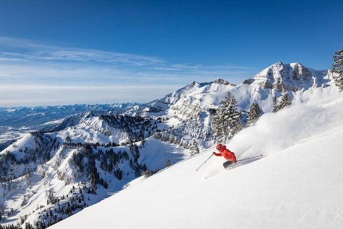 Jackson Hole Skier