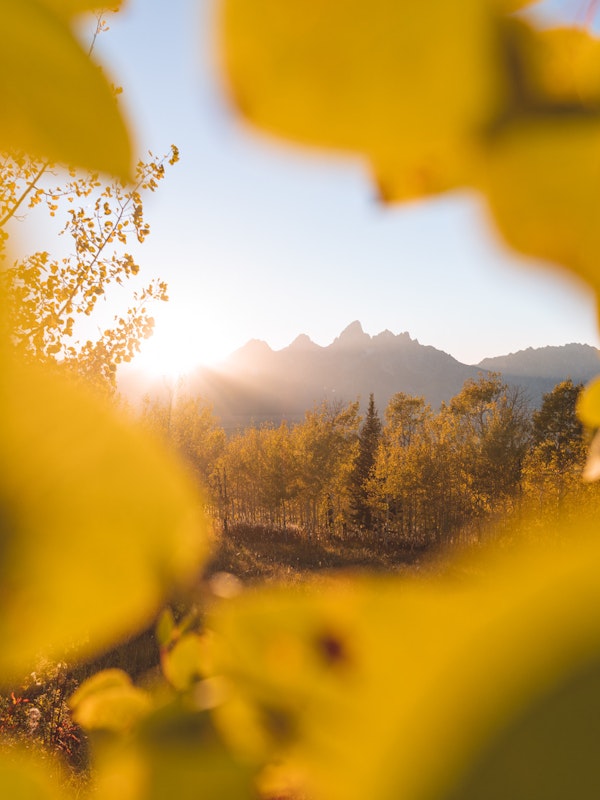 fall