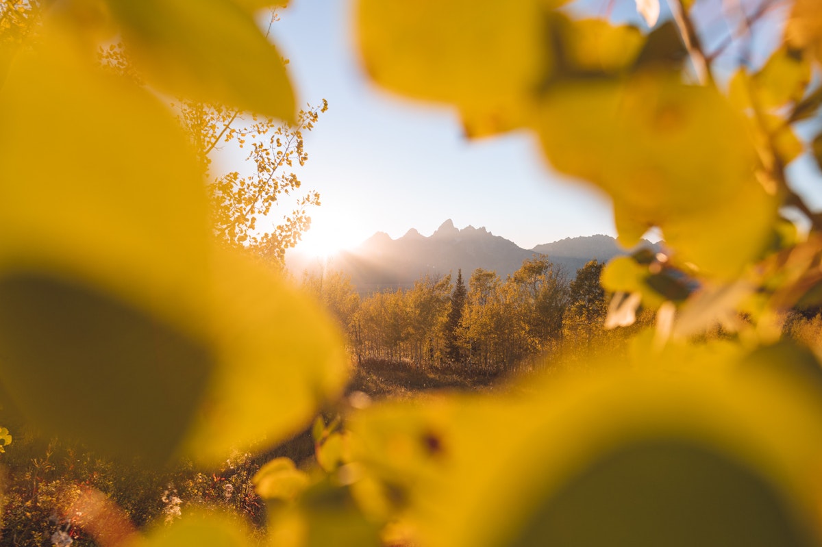 fall